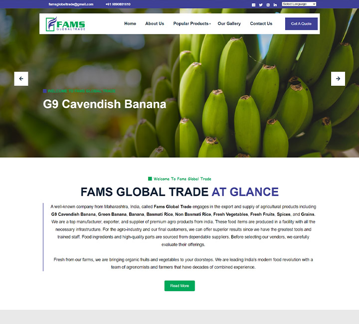 portfolio